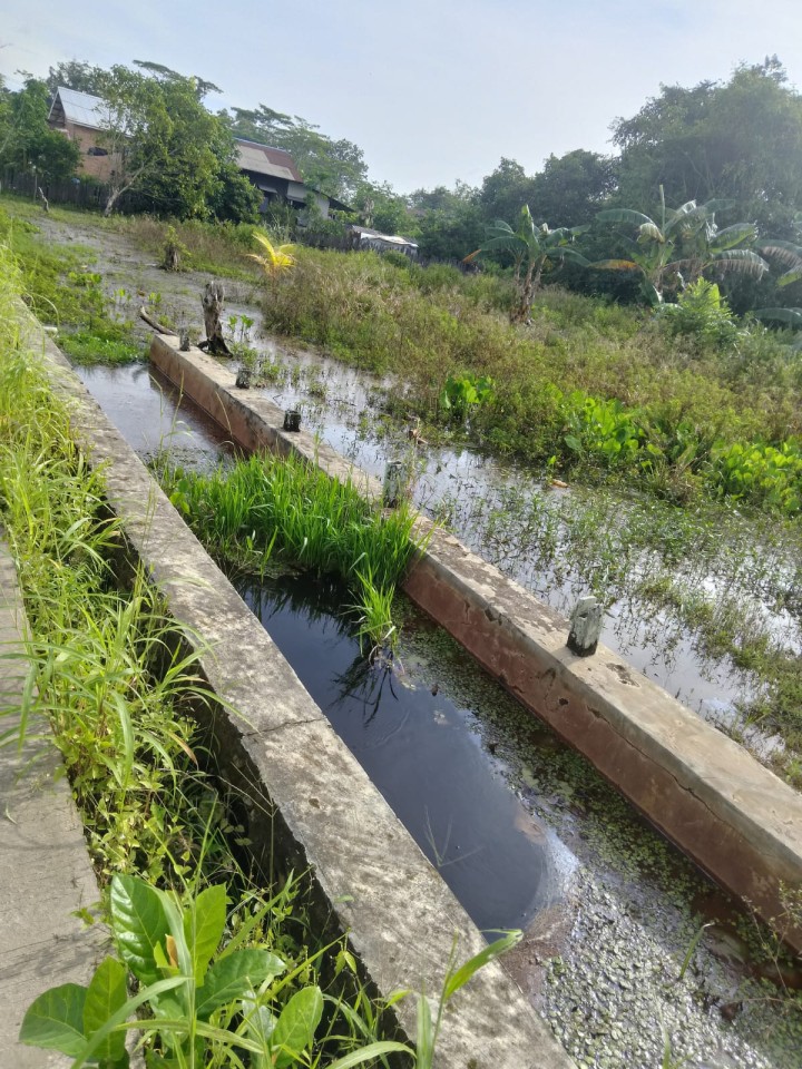 Kegiatan Kelurahan Sungai kapih Jumat Tanggal 27 Desember 2024