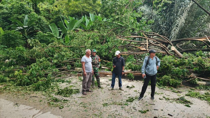 Kegiatan kelurahann Sungai Kapih Rabu 29 Januari 2025