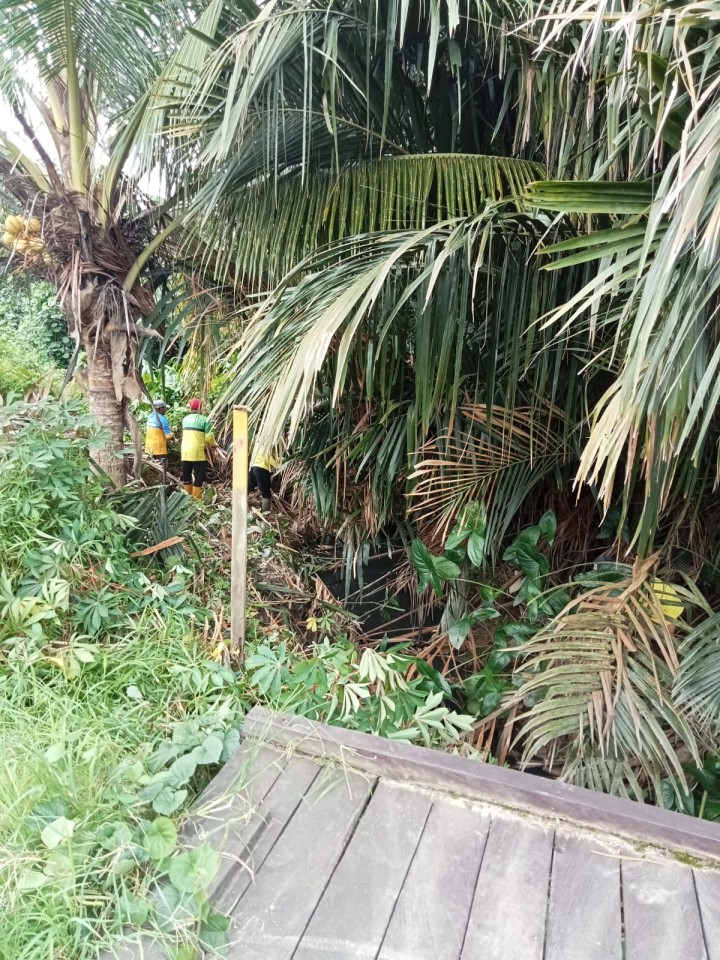 Kegiatan kelurahann Sungai Kapih Senin 3 Februari 2025
