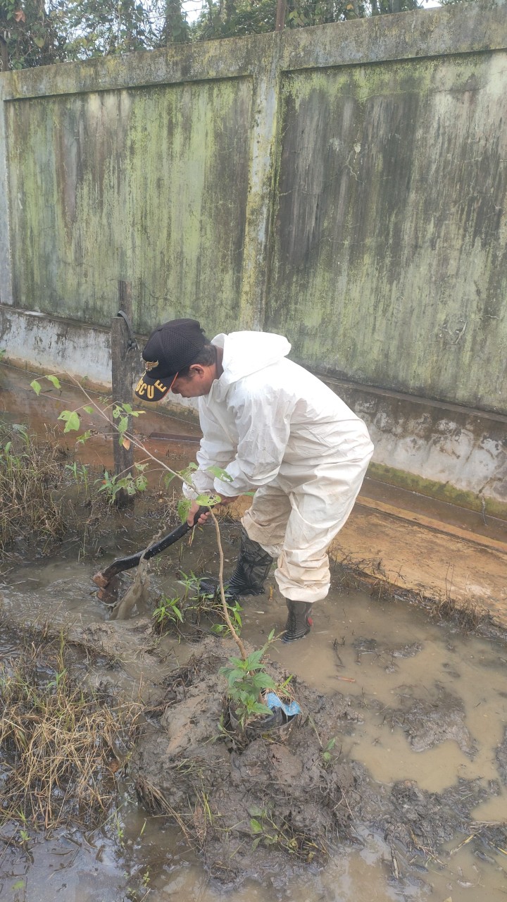 Kegiatan kelurahann Sungai Kapih Jumat 7 Februari 2025