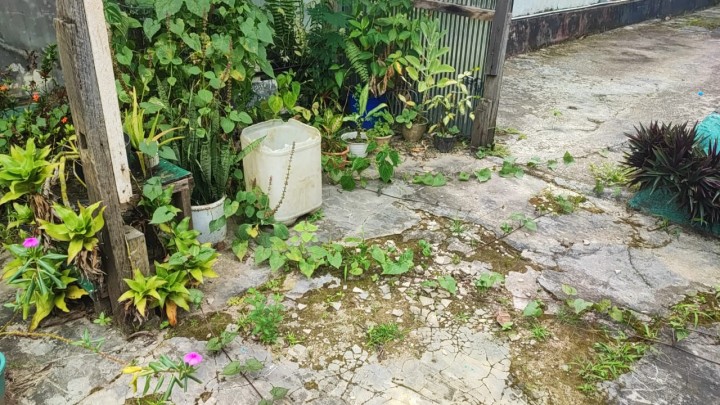 Kegiatan Kelurahan Sungai Kapih, Rabu 27 Agustus 2025