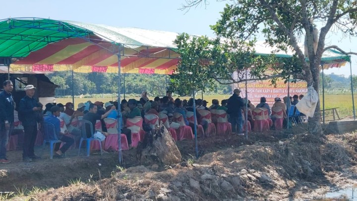 Kegiatan Kelurahan Sungai Kapih, Jumat 29 Agustus 2025