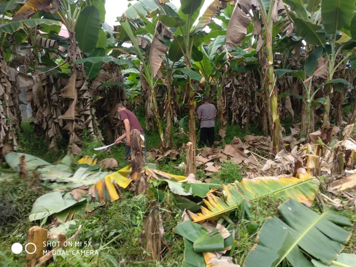 Kegiatan Kelurahan Sungai Kapih, Minggu 21 September 2025