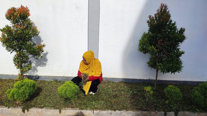 Kegiatan Kelurahan Sungai Kapih, Jumat 7 November 2025