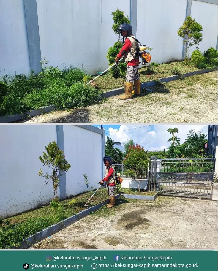 Pelaksanaan kegiatan ASRI yang rutin dilakukan setiap hari Selasa dan Jumat di area pekarangan Kantor Kelurahan Sungai Kapih, Jl. HM. Saleh Arsyad.