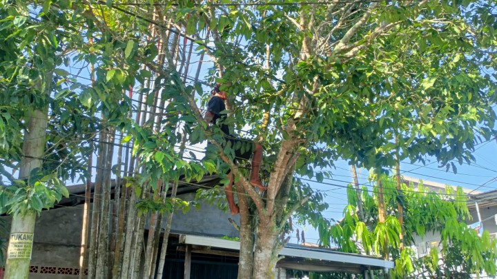 Gotong Royong Warga Sungai Keledang