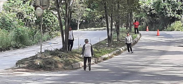 Penanaman Pohon Sepanjang Jl. Ring Road bersama DLH, Kelurahan dan Relawan, Senin, 25 Sept 2023
