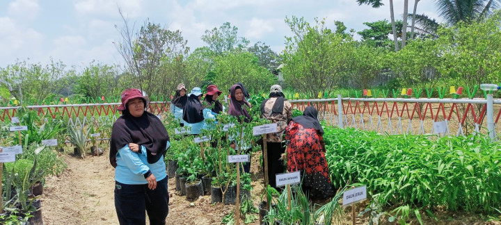 Pembinaan Dasa Wisma Lomba Kebun Toga