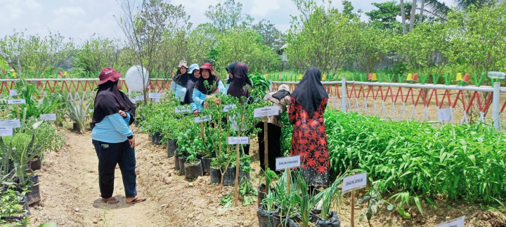 Pembinaan Dasa Wisma Lomba Kebun Toga