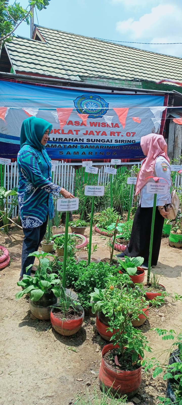 Pembinaan Dasa Wisma Lomba Kebun Toga
