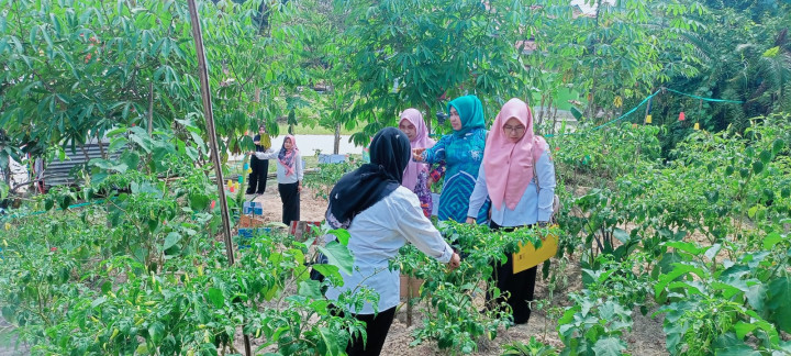 Pembinaan Dasa Wisma Lomba Kebun Toga