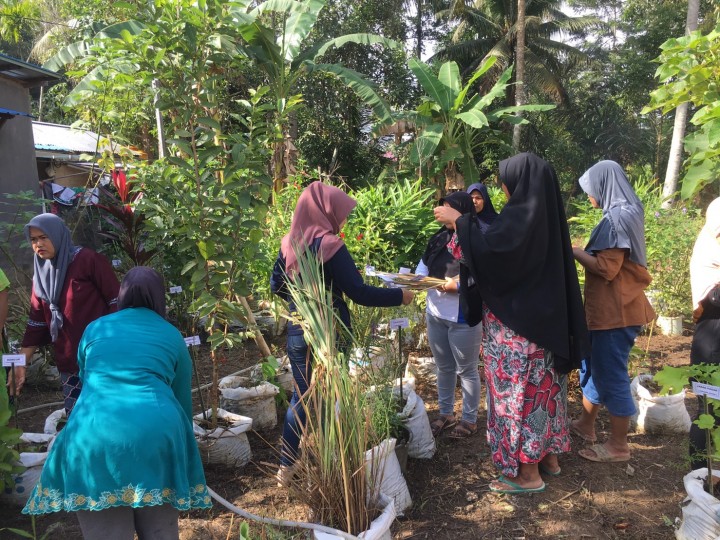 Kegiatan Kerja Bakti Dalam Rangka Perlombaan Dasawisma Di RT. 14 Kelurahan Tanah Merah