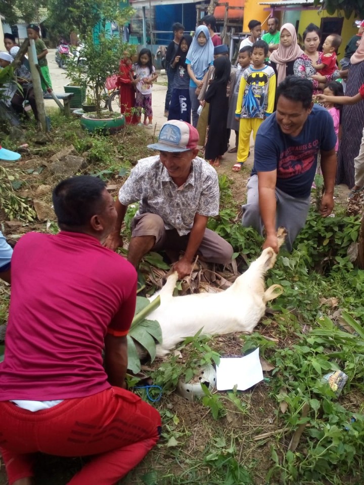 Situasi Kurban di Rt 18 Perum Loa Janan Indah Kel Tani Aman Sapi 1 ekor Kambing 1 Ekor dalam Rangka Hari Raya Idul Adha 1441 H