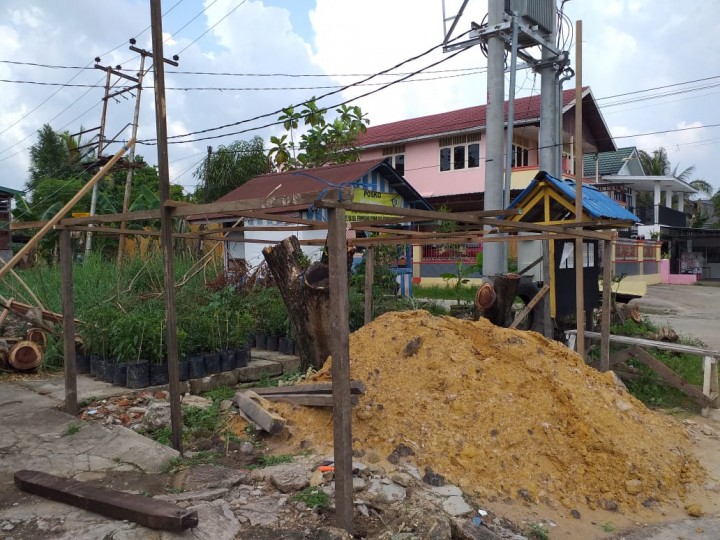 training of trainer to urban farming pelatihan budidaya CABAI & HIDROPONIK tanggal 12 - 15 November 2019