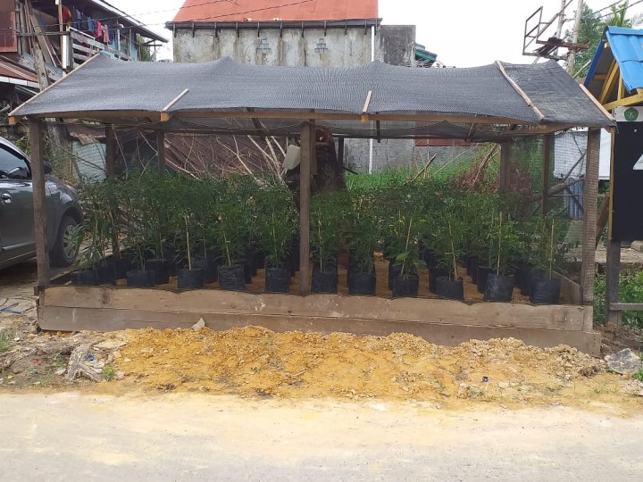 training of trainer to urban farming pelatihan budidaya CABAI & HIDROPONIK tanggal 12 - 15 November 2019