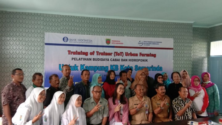 training of trainer to urban farming pelatihan budidaya CABAI & HIDROPONIK tanggal 12 - 15 November 2019