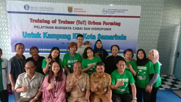 training of trainer to urban farming pelatihan budidaya CABAI & HIDROPONIK tanggal 12 - 15 November 2019