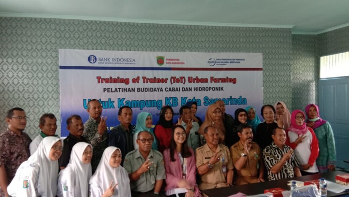 training of trainer to urban farming pelatihan budidaya CABAI & HIDROPONIK tanggal 12 - 15 November 2019
