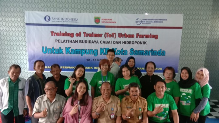 training of trainer to urban farming pelatihan budidaya CABAI & HIDROPONIK tanggal 12 - 15 November 2019