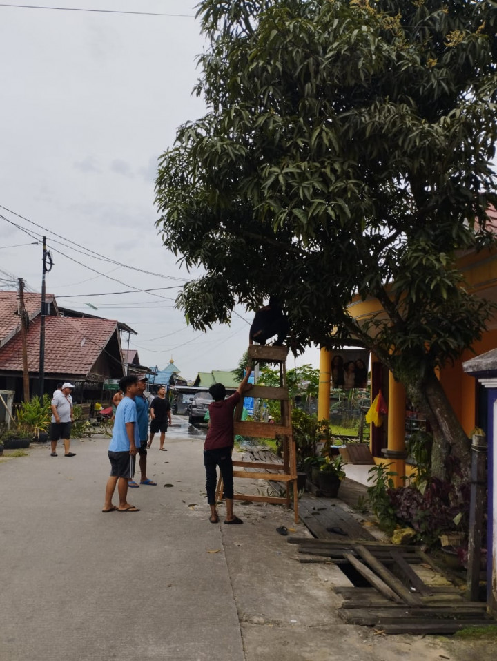 Giat Gotong Royong Probebaya