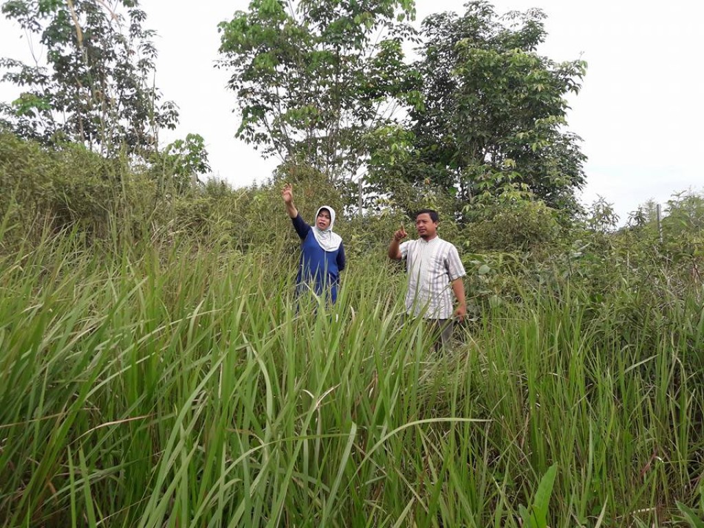 Peninjauan