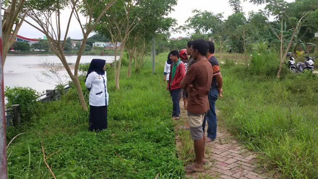 Tinjauan