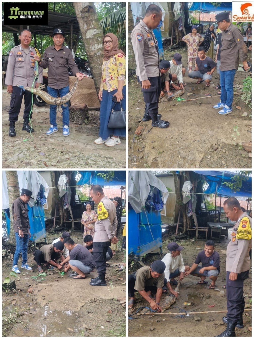 PENEMUAN BUAYA