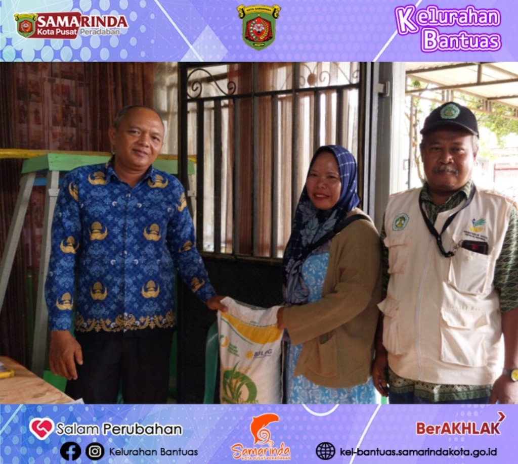 Pemberian CBP Tahap IV di Kelurahan Bantuas dari Badan Logistik Bulog.