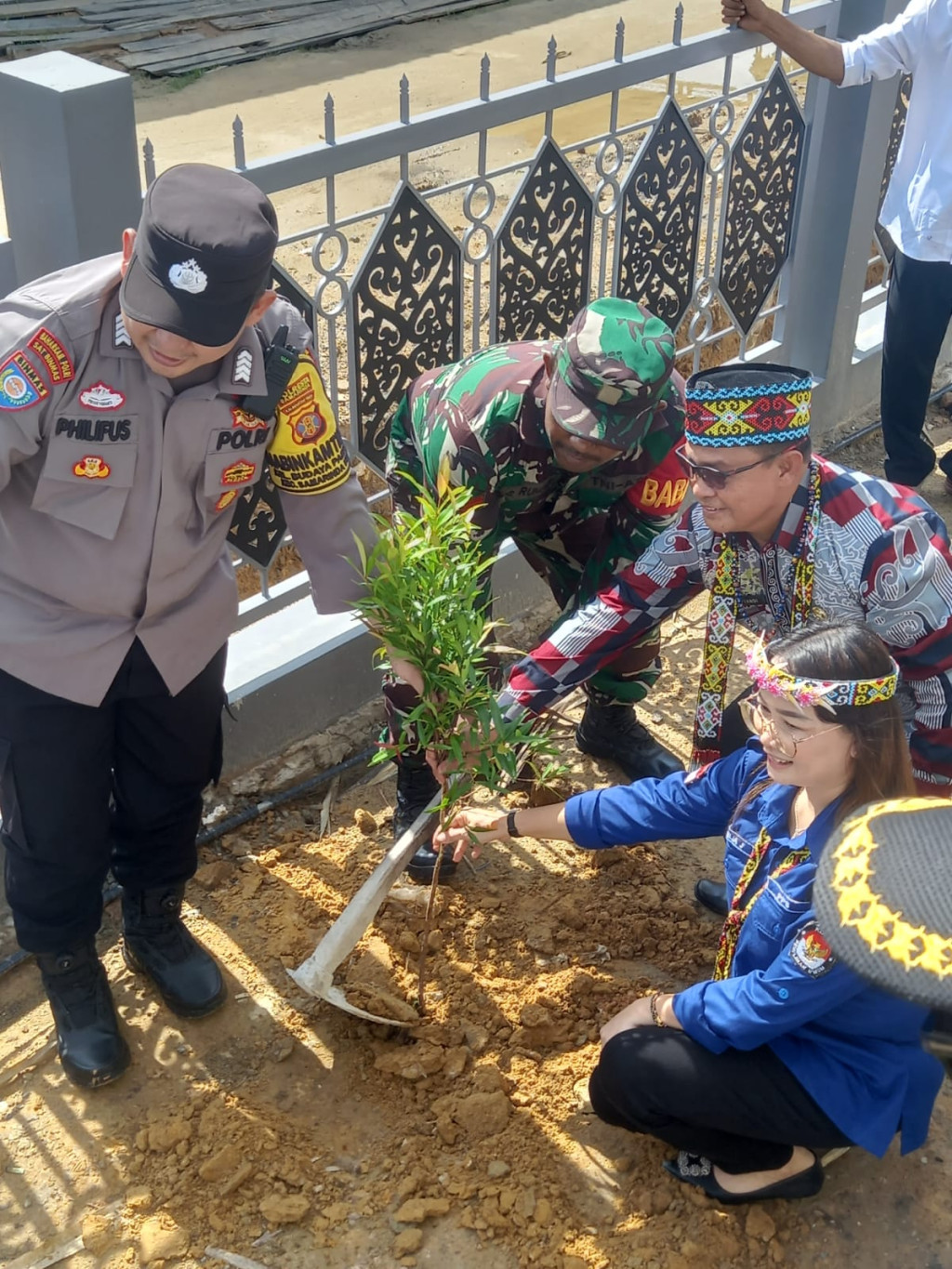 penanaman pohon demokrasi di kelurahan budaya pampang