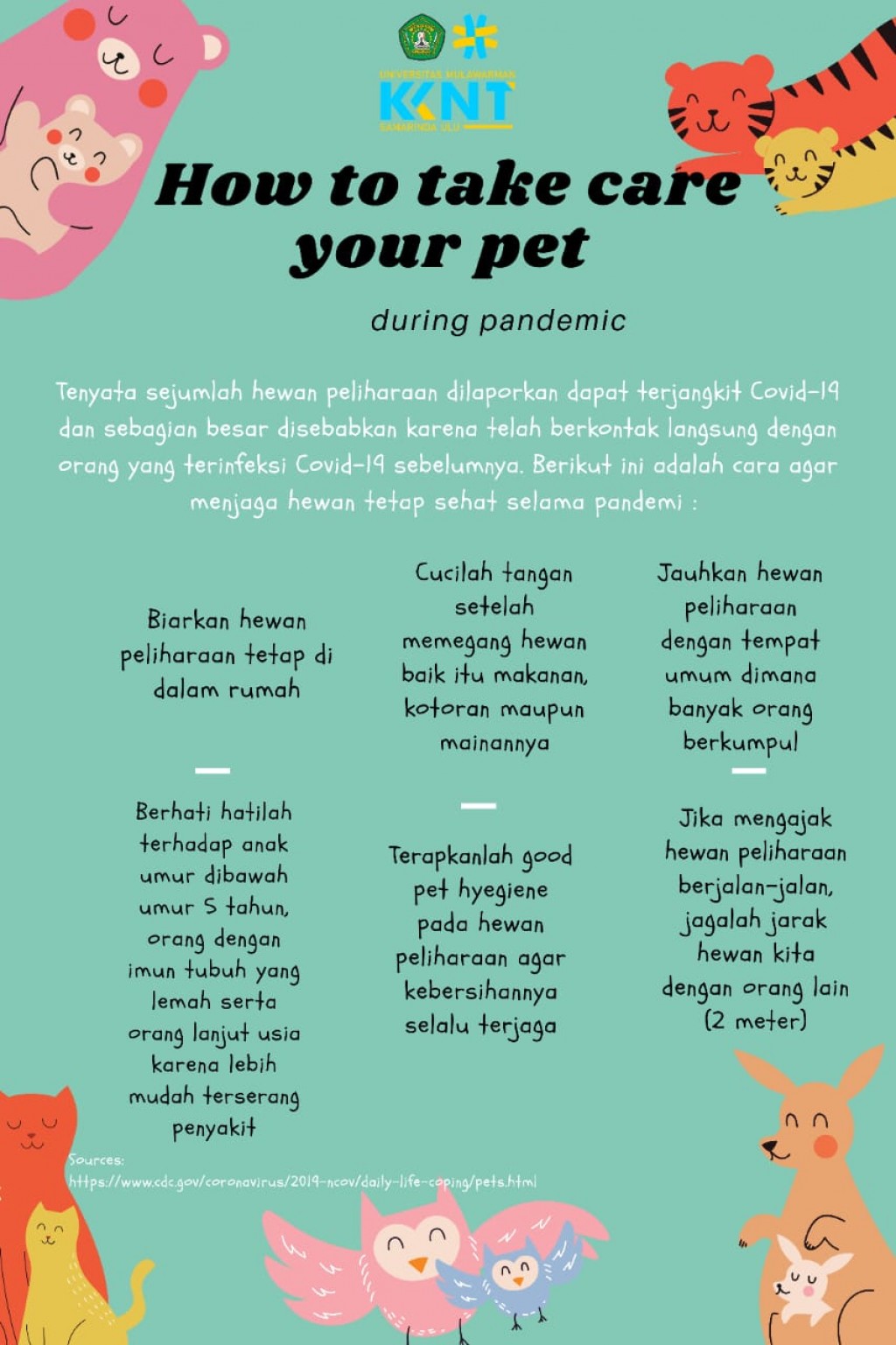 Cara Merawat Hewan Peliharaan selama Pandemi⁣