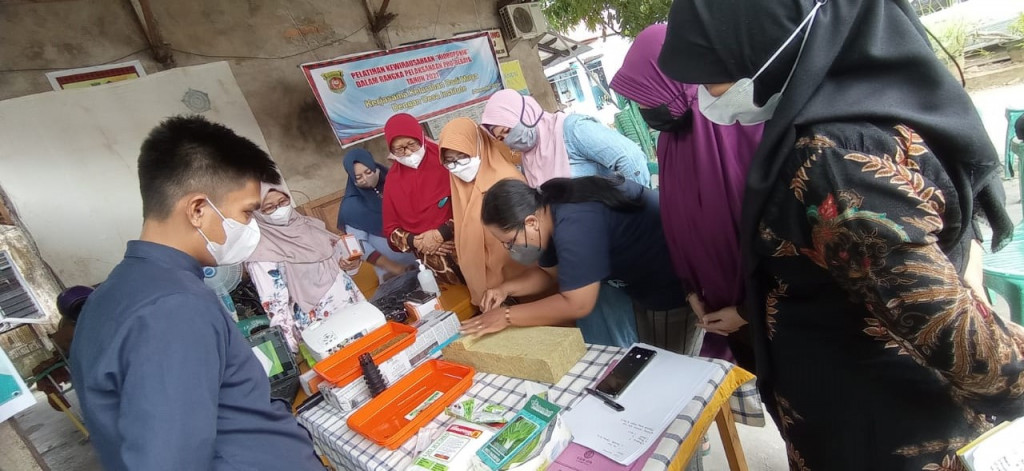 Implementasi ProBebaya Dadi Mulya Pelatihan Hidroponik