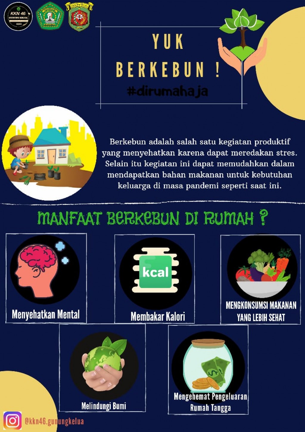 Yuk Berkebun Di Rumah