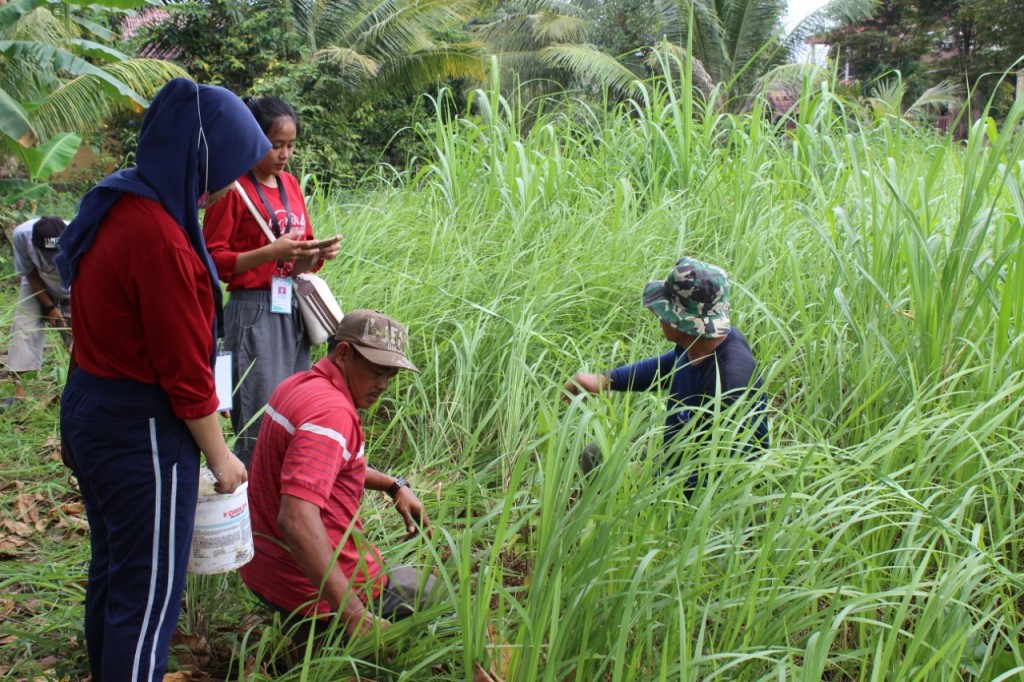 Penanaman Pohon Semusim Di Danau Perum Pinang Bahari