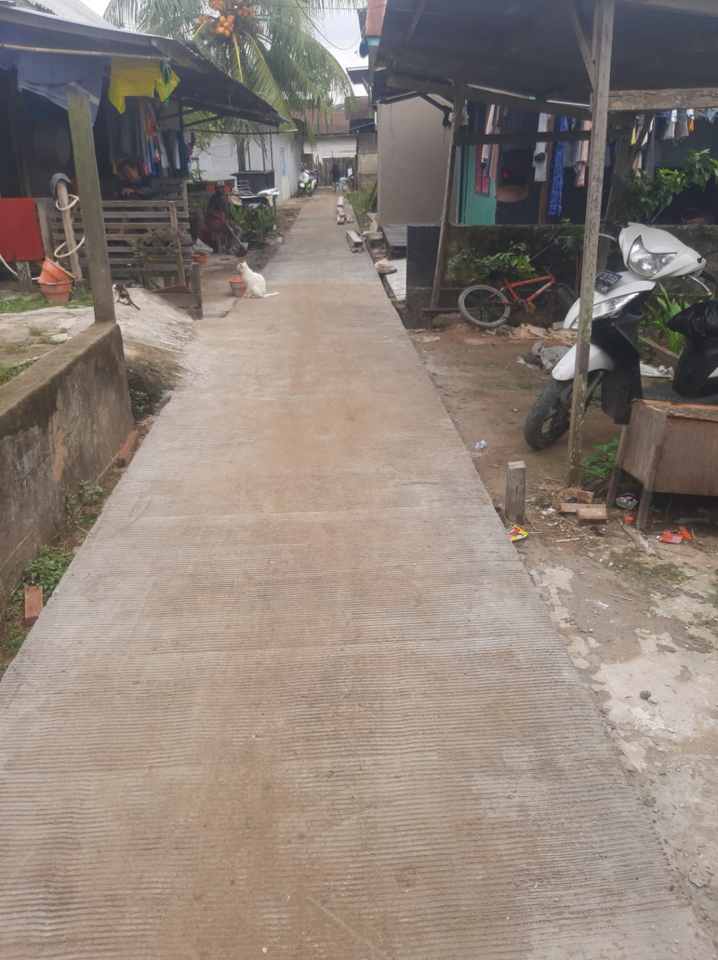 KEGIATAN SEMENISASI DI RT 06