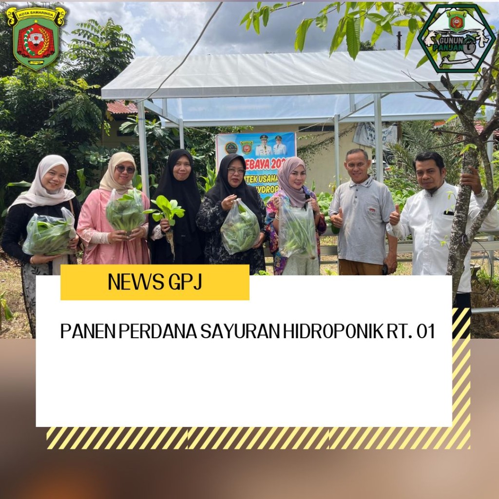 Panen Perdana Sayuran Hidroponik RT 01 Kelurahan Gunung Panjang