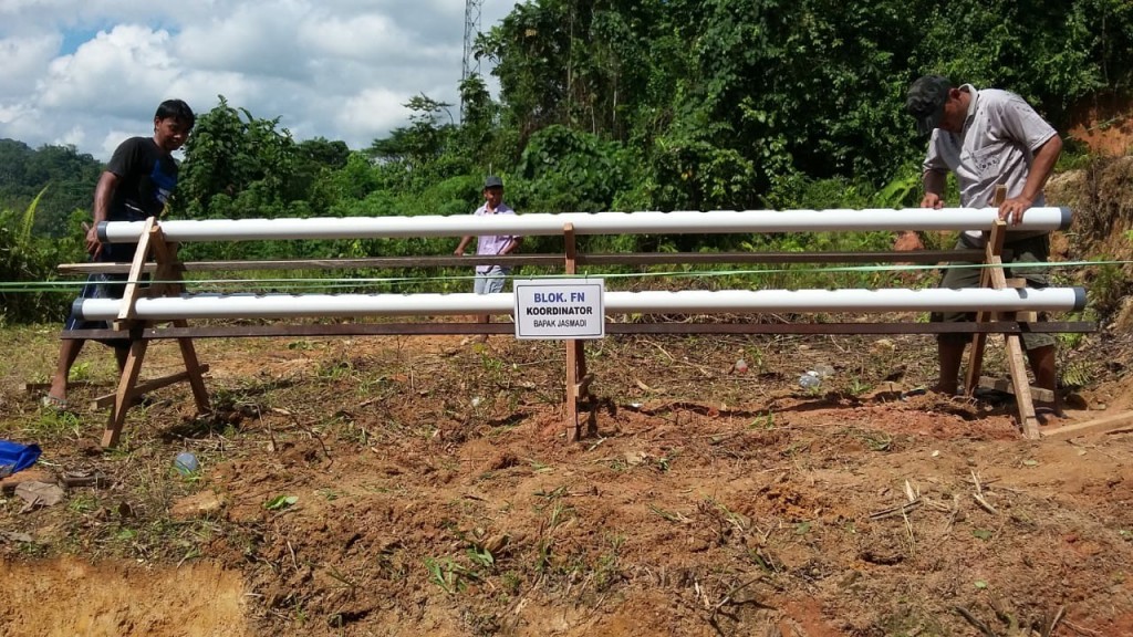 Penempatan Tanaman Hidroponik dari RT 25 Kelurahan Harapan Baru