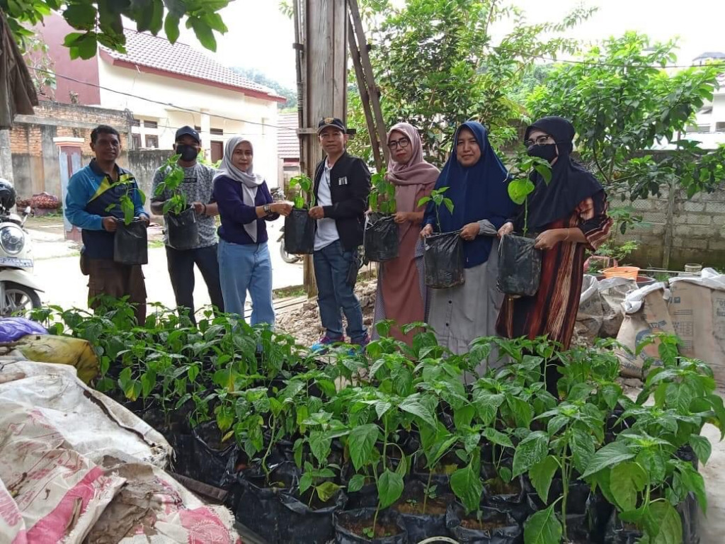 Penyerahan Bibit Cabe