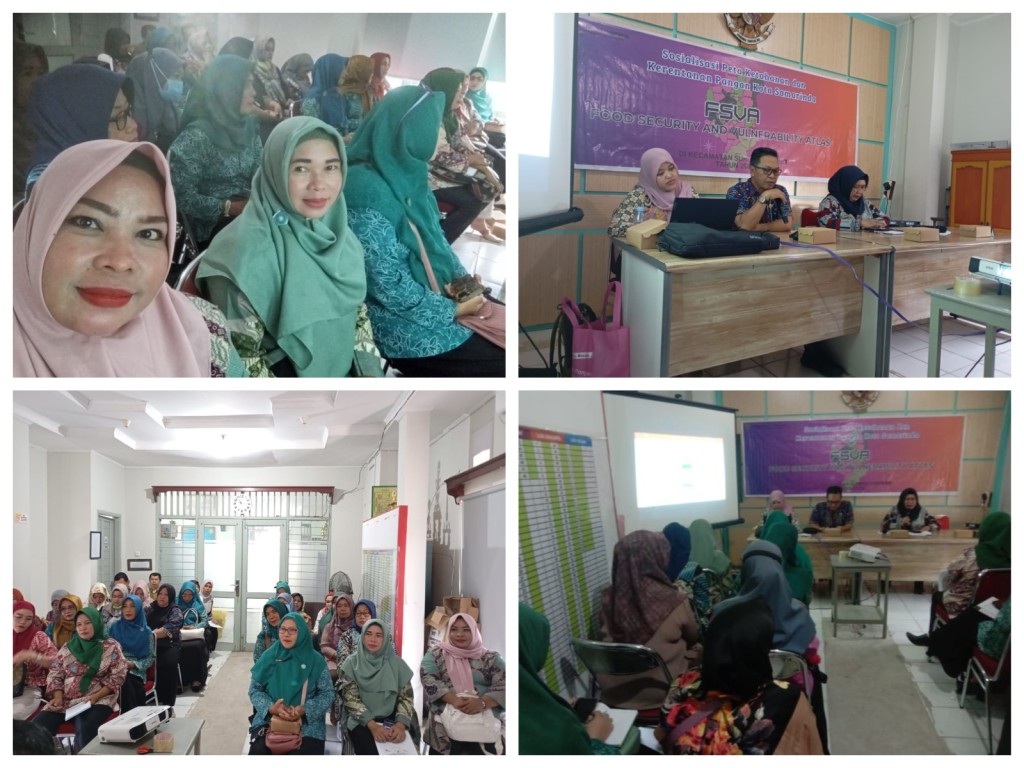 Sosialisasi Pemetaan Ketahanan Pangan