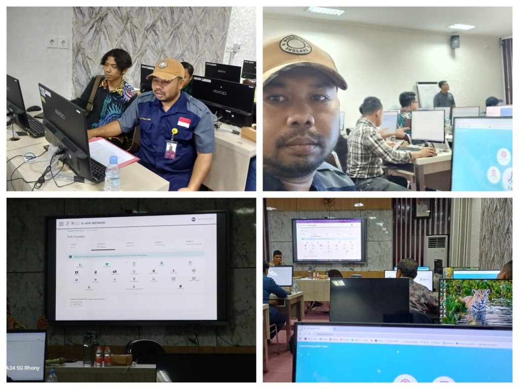 Sosialisasi Percepatan Peremajaan Data Kepegawaian pada SIASN BKN