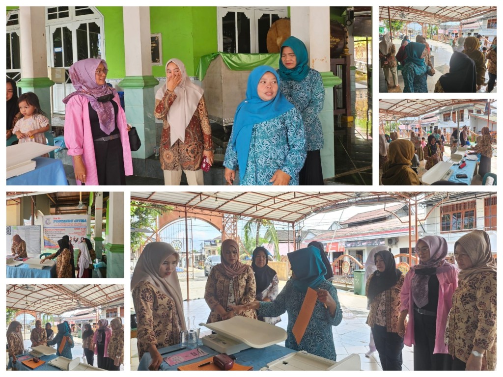 Kunjungan dan Monitoring ke Posyandu Citra