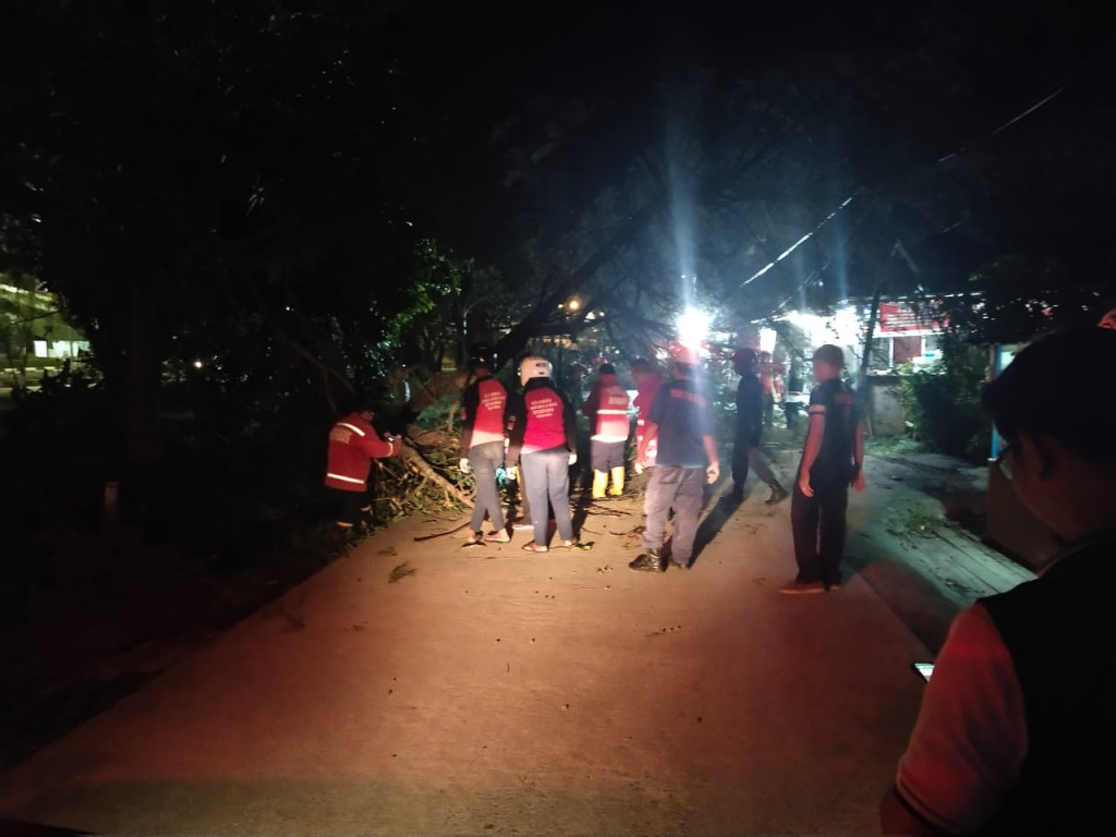 Terjadi Pohon Tumbang Di Jalan Untung Suropati Seberang Big Mall Samarinda