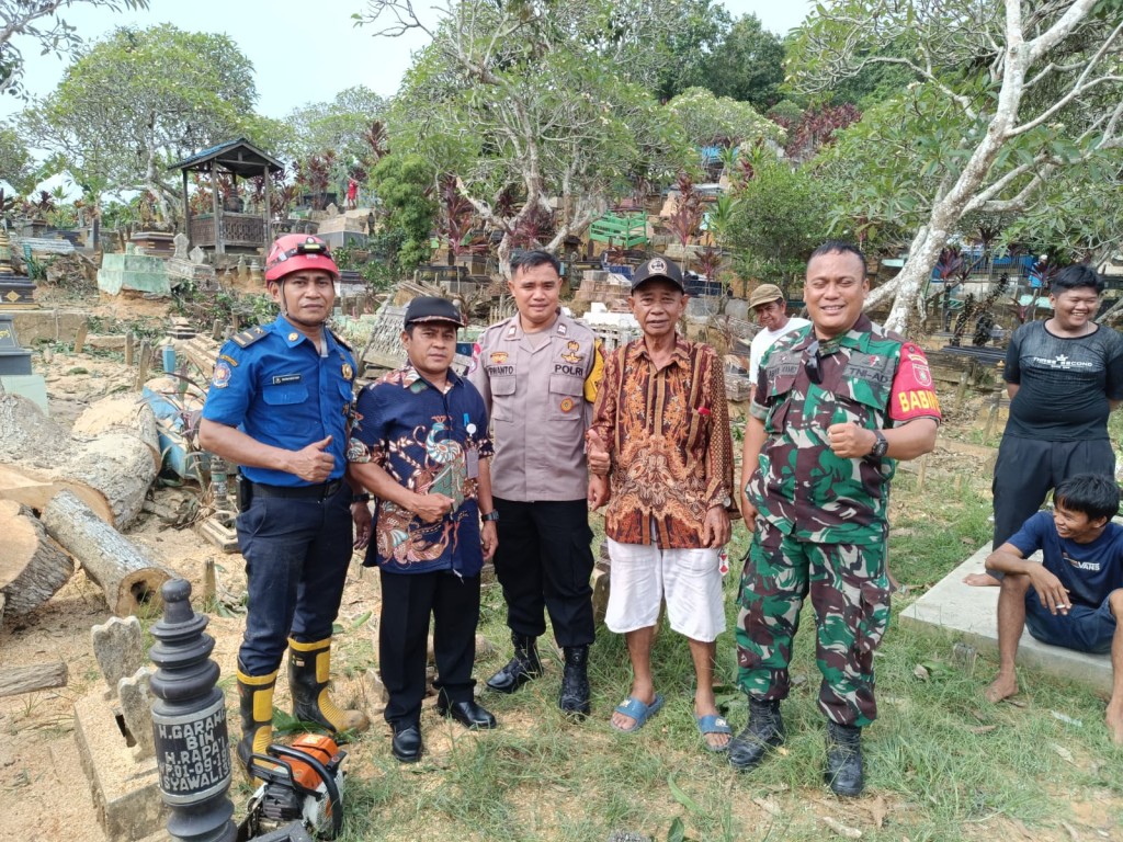 Proses Evakuasi Pohon Tumbang