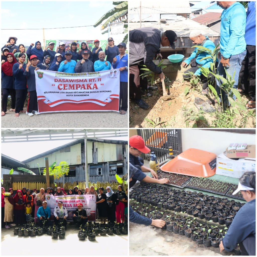 GIAT PROBEBAYA 2024 KELURAHAN LOA BUAH (MEDIA TANAM DAN BIBIT TANAMAN UNTUK DASAWISMA OLEH POKMAS BERSAMA)