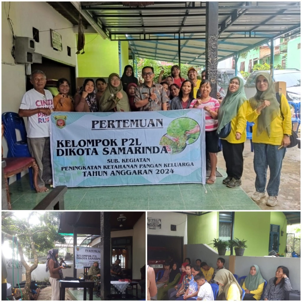 KELOMPOK PEKARANGAN PANGAN LESTARI (P2L) KELURAHAN LOA BUAH TERIMA BANTUAN UNTUK KETAHANAN PANGAN KELUARGA