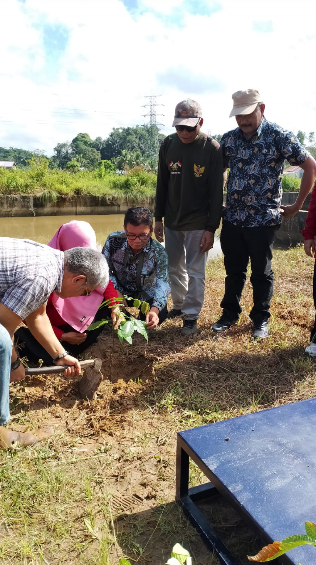 Penanaman Pohon dalam rangka "GATRIA" di Polder Barito