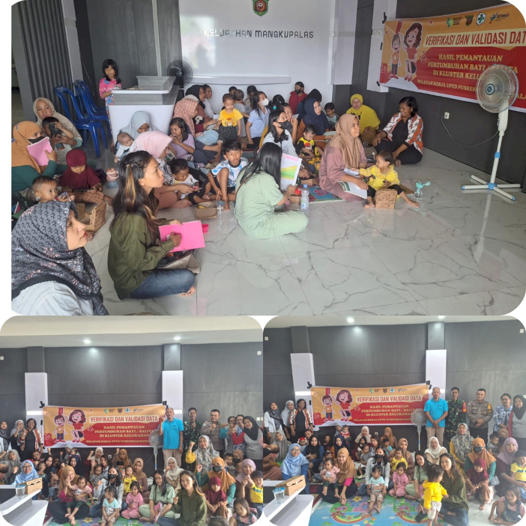 Giat verifikasi data hasil Pertumbuhan Bayi dan Balita di Klaster Kelurahan dari Puskesmas Mangkupalas.