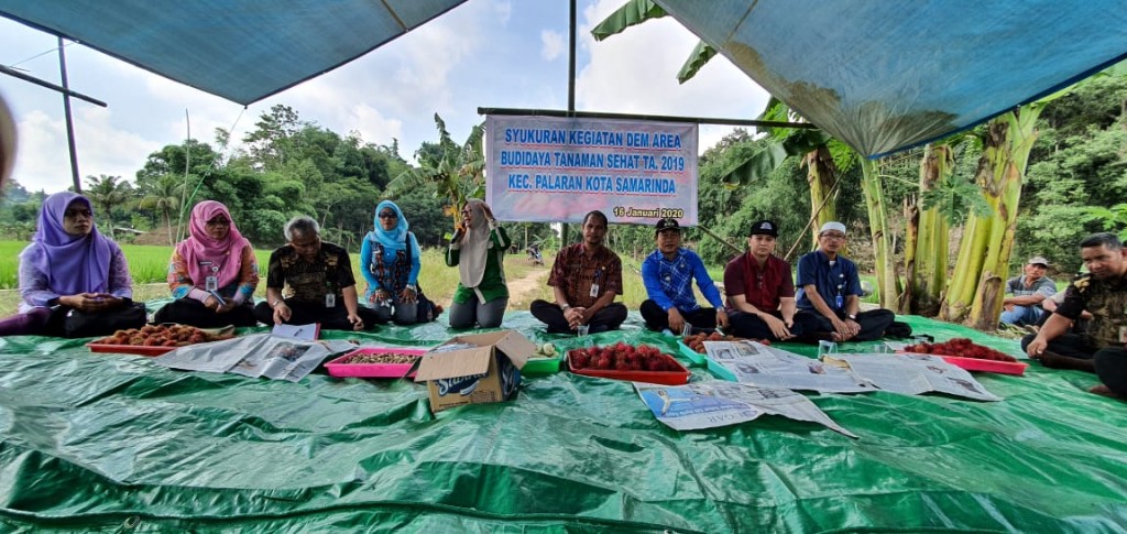 Syukuran Kegiatan DEM Area Budidaya Tanaman Sehat Tahun 2019 Kecamatan Palaran