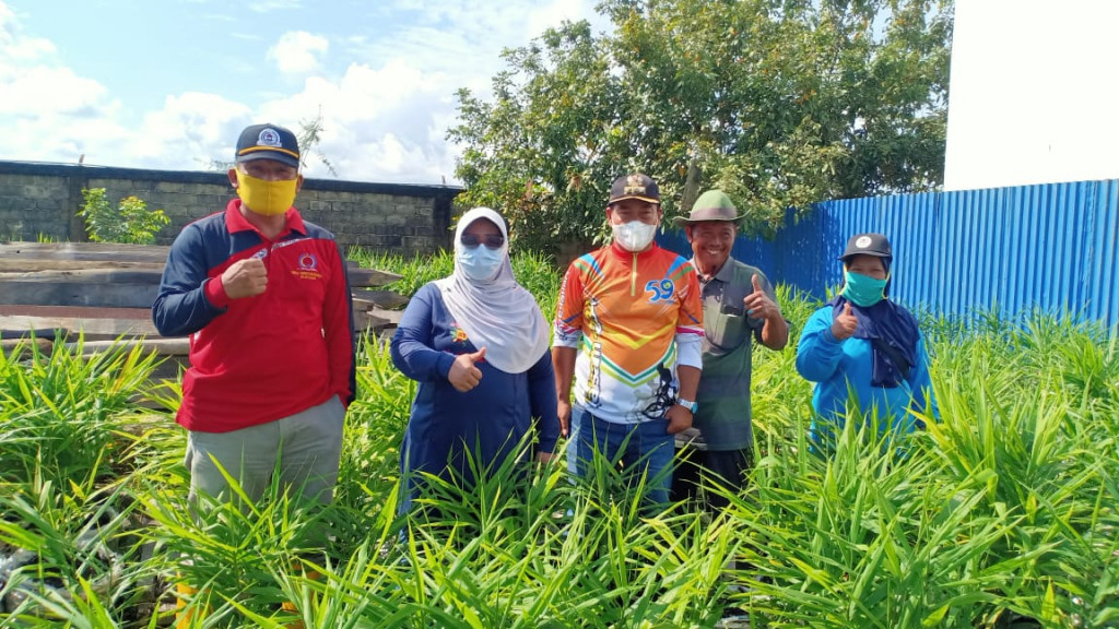 Jumat, 23 April 2021 Melakukan Kunjungan Budi Daya Jahe Merah di Kelurahan Bukuan