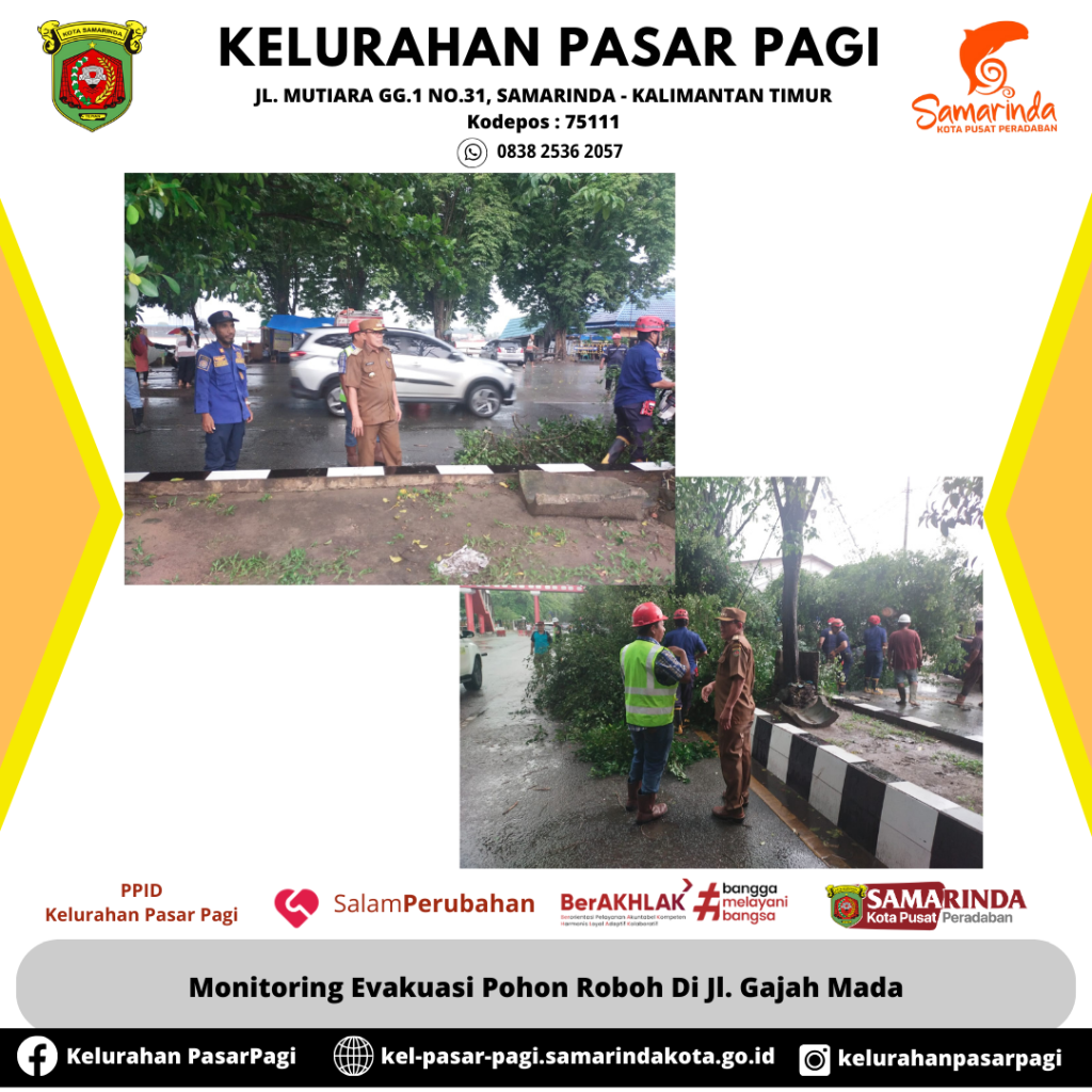 Monitoring Evakuasi Pohon Roboh oleh Dinas Pemadam Kebakaran Kota Samarinda di Jl. Gajah Mada