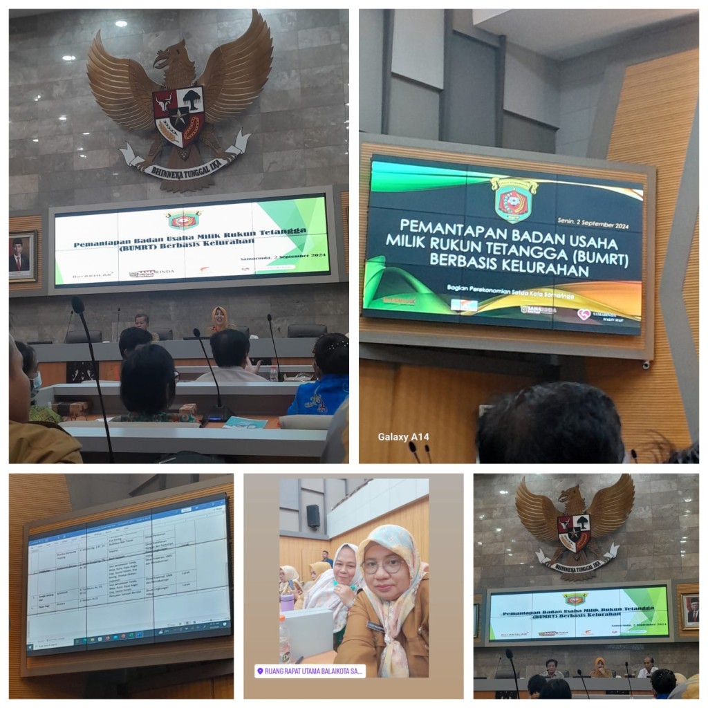 Pemantapan Badan Usaha Milik Rukun Tetangga (BUMRT) Berbasis Kelurahan.